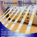 10-Indicator Urine Test Strips - 100 Pieces for Diabetes & Ketosis - Urinary Sugar & Glucose Detection - German Manual Included - Buy Online on GoSupps.com