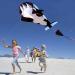 Hengda KITE-3D: Giant Black Dolphin Orcas Whale Breeze Kite for Kids & Adults - Buy Online on GoSupps.com