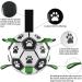 Interactive Dog Soccer Ball with Grab Tabs | Durable Toy for Tug of War & Water Play | Perfect Puppy Birthday Gift | Medium Size 2, Green - Buy Online on GoSupps.com