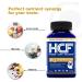 HCF Mind Boosting Supplement with Amino Acids Vitamins & Minerals for Improved Attention Focus Concentration and Cognitive Performance. (2-Pack) - Buy Online on GoSupps.com