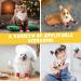 Auauy Indoor Anti-Slip Socks for Dogs & Cats | Silicone Gel Paw Protection | 2 Sizes | Christmas Red - Ideal for Small & Medium Pets - Buy Online on GoSupps.com