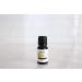 Vanilla Essential Oil by Revive - 100% Pure Therapeutic Grade for Diffuser Aromatherapy Massage & Skin Care - International Shipping - Buy Online on GoSupps.com