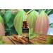 Cinnamon Essential Oil 100% Pure | Natural Aromatherapy & Therapeutic Grade 120 mL - Shop Internationally - Buy Online on GoSupps.com