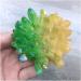 Crystal Rough Natural Crystals Quartz Freeform Reiki Stones Room Home Office Aquarium Decoration Accessories Gemstone Beautiful (Size : 300-350g) (Size : 300-350g) - Buy Online on GoSupps.com
