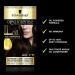 Schwarzkopf Oleo Intense Permanent Brown Hair Dye - Ammonia Free with Oil Enrichment - Black Brown (2-10) - 1 Count Pack for Up to 100% Grey Coverage - Buy Online on GoSupps.com