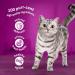 WHISKAS - 7+- Senior Wet Cat Food Pouches - 40 x 85 g - Poultry in Jelly - Bulk Cat Food Megapack - 40 Pouches Poultry 85 g (Pack of 40) - Buy Online on GoSupps.com