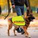 PTSD Service Dog Do Not Distract Dog Jacket Vest PTSD Service Dog Slogan Warning Vest PTSD Assistance Dog Alert Gift (PTSD Medium) PTSD M EU - Buy Online on GoSupps.com