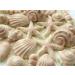 Rainbow Cake Toppers 24x Edible Sea Shells Cupcake Decorations Mermaid Cupcake Toppers Under the Sea Cake (RCT-0047)