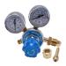 R gulateur Pression GAZ Oxygen Bottle Regulators O2 Reducing Pressure Inhaler Double Gauge Regulator Oxygen Tank Regulator