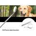 Dog & Cat Dental Care Mouth Mirror - Stainless Steel Tartar Remover & Tooth Cleaning Tool - Buy Online on GoSupps.com