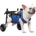Adjustable Dog Wheelchair for Back Legs Small Dog Wheel-Chair Dog Wheelchair Trolley Disability Dog Wheelchair Back Leg Rehabilitation Aid for Small Dogs X-Small - Buy Online on GoSupps.com