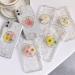 50pcs Natural Dried Daisy Flowers - Vacuum Packed for Decoration & Jewelry Making (5 Colors) - Buy Online on GoSupps.com