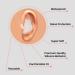 Rebel Tactical Pillow Soft Silicone Ear Plugs - NRR 20db - Reusable Noise Cancelling Ear Plugs for Sleeping, Shooting Range, Safety, Concerts, Swimming, Travelling, and Snoring - Buy Online on GoSupps.com