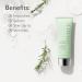 NOWATER Prestige 73% Tea Tree Mask | Pore Reducing Peel Off | Soothing Korean Skin Care with Acai & Papaya (2.5 fl. oz) - Shop Internationally - Buy Online on GoSupps.com