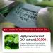 All Green Tox Solution Magic Cleansing Bar - Organic Eco-Friendly Skin Care for Radiant Skin | Shop Internationally - Buy Online on GoSupps.com