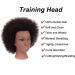 100% Human Hair Afro Manikin Head for Cosmetology Practice | Curly African American Mannequin Head with Free Clamp Stand - Buy Online on GoSupps.com
