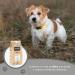 Avantis Pet Pure Grain Free Adult Dog Food for Adult Dogs of All Breeds 2 kg 100% complete and balanced food with Chicken and without cereals for dogs suffering from intolerance and - Buy Online on GoSupps.com