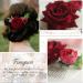 Fangsen Deep Red Wedding Rose Flower Hair Comb - Bridal Headpiece for Brides & Bridesmaids - Buy Online on GoSupps.com