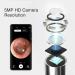 Wifi Intelligent Visual Earpick Mini Camera Endoscope - Ear Cleaning Tool for All Smartphones (Black - Buy Online on GoSupps.com