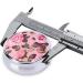 Pretty Pink Roses Round Pill Box - 3 Compartment Portable Organizer for Purse & Pocket | Travel Essential - Buy Online on GoSupps.com