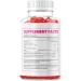 Algarve Keto ACV Gummies - 60 ct Advanced Formula Apple Cider Vinegar Supplement - Buy Online on GoSupps.com