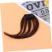 DOITOOL Woman Hair Bang Turneric Hair Bangs Clip Bridesmaid Scrunchies Body Wash Mittens Foam Curlers for Hair Eye Patches for Adults Tassles Fringe Front Hair Bangs Tassel Clip Conjoined medium Brown - Buy Online on GoSupps.com