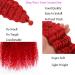 HENSLEELY 18 inch Ocean Wave Crochet Hair | Deep Twist Curly Braiding Extensions | 3 Packs Long Wavy Water Wave Braids | Synthetic Crochet Braid Hair in Burgundy - Buy Online on GoSupps.com