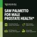 HAVASU NUTRITION Organic Nettle Liquid Drops + Saw Palmetto Capsules: Prostate Supplements for Men - Buy Online on GoSupps.com