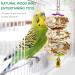 Bird Toys Parakeet Toys Bird Cage Accessories Parrot Swing Chewing Standing Hanging Perch Hammock Climbing Ladder for Budgerigar Parakeet Conure Cockatiel Mynah Love Birds Finches - Buy Online on GoSupps.com