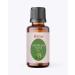 Bhavika Creation Organic Angelica Essential Oil 1.01 fl oz