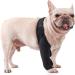 DOITOOL Paw Knee Knee Pads Dog Leg Brace Dog Back Dog Injured Leg Cover Front Legs Rear Bracket Puppy M 1 - Buy Online on GoSupps.com