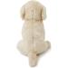 Zappi Co Labrador Plush Toy (25cm) - Friendly & Eco-Friendly Dog for Young Canine Fans - Buy Online on GoSupps.com