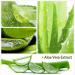 STYLE TREE Keratinequeen Aloe Vera Gel Organic Hydrating Moisturizer Brightening Naturally Extracted - Buy Online on GoSupps.com