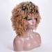 SHIYID Short Curly Blonde Afro Wig Heat Resistant Synthetic Wig for Women with Dark Roots Perfect for African American Hair - Buy Online on GoSupps.com