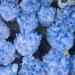 Natural Crystal Rough Natural Cluster Amethyst Ore Purple QuartzStone Raw s Home Can be Used for (Size : 300-400g) - Buy Online on GoSupps.com