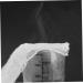Buy Sosoport 5pcs Compressed Gauze Compression Tape - Medical Adhesive Tape for Gauze Pads | Elastic Cotton Outdoor Accessories - Buy Online on GoSupps.com