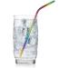 Reusable Rainbow Stainless Steel Straws Set - 4 Eco-Friendly Drinking Straws with Cleaning Brush - Buy Online on GoSupps.com