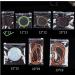 100 Self Seal PVC Zipper Lock Bags - Jewelry Anti-Oxidation Clarity Tarnish Prevention - Small Resealable Storage Bags for Earrings and Rings (9x13cm/3.5x5inch) - Buy Online on GoSupps.com