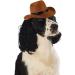 Custom Cowboy Hat & Bandana Set for Dogs & Cats | Perfect Pet Costume & Party Accessories - Buy Online on GoSupps.com