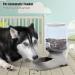 BLUERISE Automatic Dog Water Bowl Dispenser - Self-Feeding Gravity Refill for Pets - BPA-Free & Easy to Clean - Buy Online on GoSupps.com