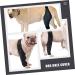 BELLIFFY Dog Foreleg Brace Puppy Knee Braces Dog Acl Brace Hind Leg Paws Pet Mesh Fabric Large Dog Elbow Pads S As Shown - Buy Online on GoSupps.com