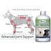 Pets Performance and Mobility- E-Z Mobility 500ml-Omega Alpha (2 Bottles Bundle) - Buy Online on GoSupps.com