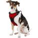 Littlearth NCAA Georgia Bulldogs Front Clip Pet Harness - Small, Team Color - Buy Online on GoSupps.com