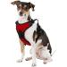 Littlearth NCAA Georgia Bulldogs Front Clip Pet Harness - X-Small | Team Color - Buy Online on GoSupps.com