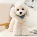Heionia Cuddly Dog Plush Toy Kawaii Teddy Dog with Scarf (30cm) - Perfect Gift for Kids & Girls - Soft White Pudel Animal - Buy Online on GoSupps.com