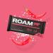 ROAM Jalape o Chilli Protein Bars - High Protein, Low Carb Meal Replacement Bars for Healthy Diet - 6 Pack - Buy Online on GoSupps.com