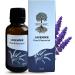 Roots & Above Pure Essential Oil -Cold Pressed (1.01 Oz, Geranium Essential Oil)