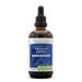 Prosta Vigor Alcohol-Free, Glycerite Pygeum, Maca, Stinging Nettle, Reishi Mushroom, Red Clover, Spearmint, Saw Palmetto, White Peony. Tincture Herbal Extract Healthy Prostate Formula 4 OZ 4 Fl Oz (Pack of 1)