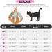 Eyein Cat Harness and Lead Set for Walking - Adjustable Escape Proof Kitten Vest Harness with Reflective Strip - Green & Orange - Medium Size - Buy Online on GoSupps.com
