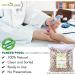LOGY Paneer Phool Herb for Diabetes (400 Grams) | Paneer Doda | Withania Coagulans - Buy Online on GoSupps.com